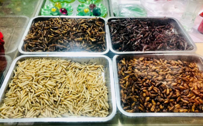 圖片 圖片
